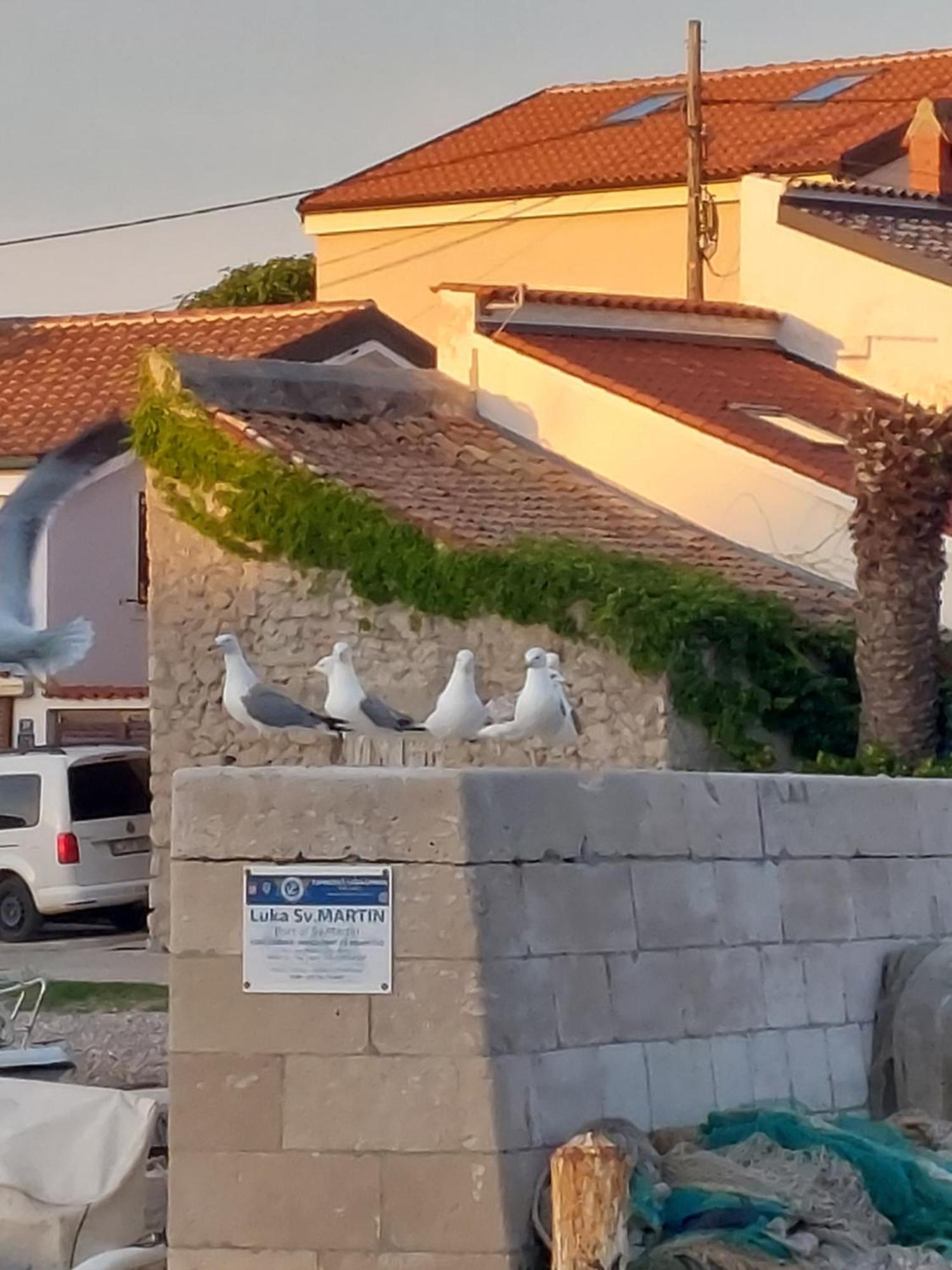 Apartments Suncica Mali Lošinj Dış mekan fotoğraf