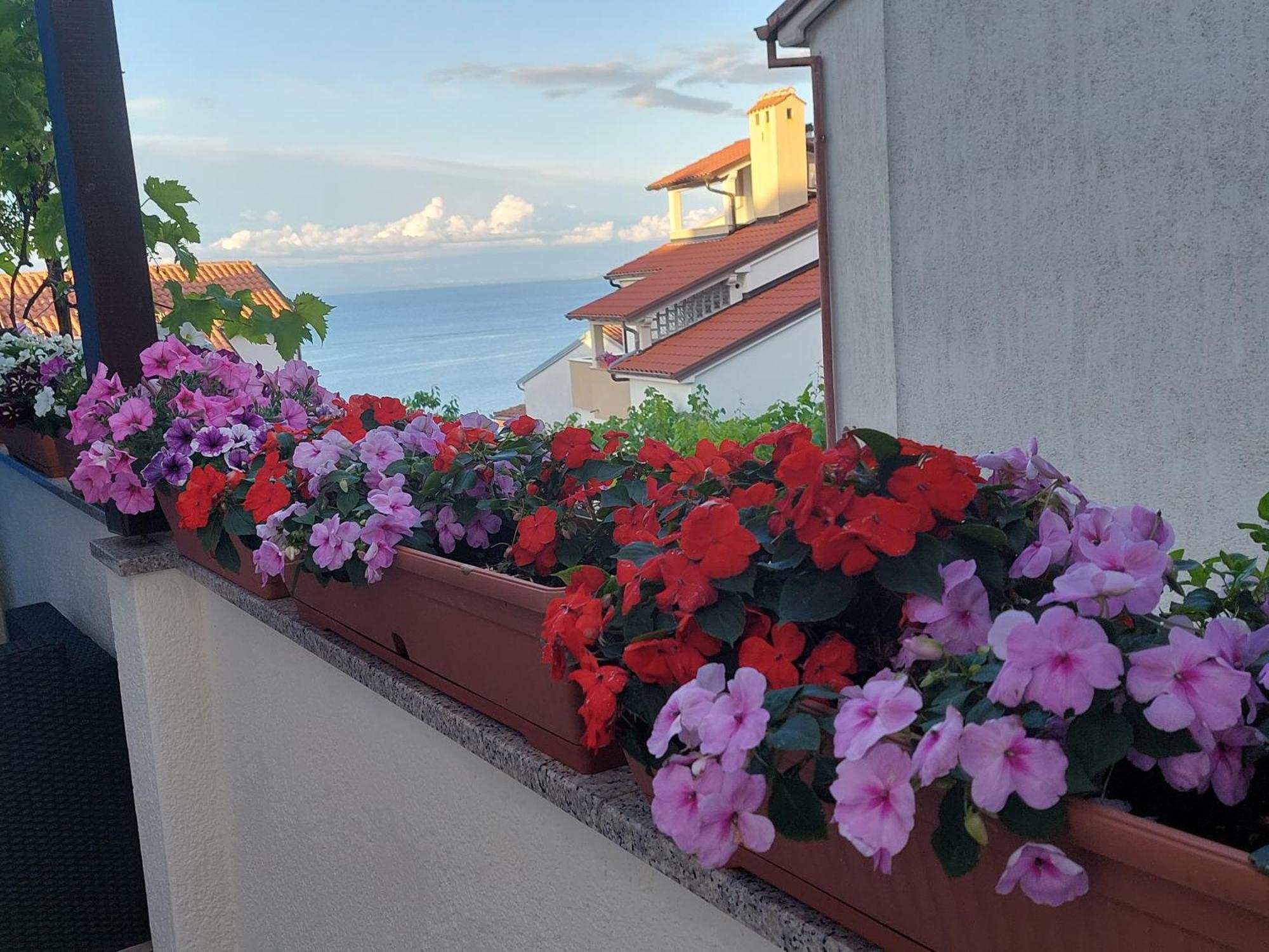 Apartments Suncica Mali Lošinj Dış mekan fotoğraf